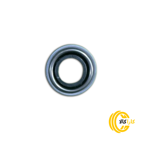 دیسک و صفحه تیبا 200 phc valeo – والئو آبی - Image 4